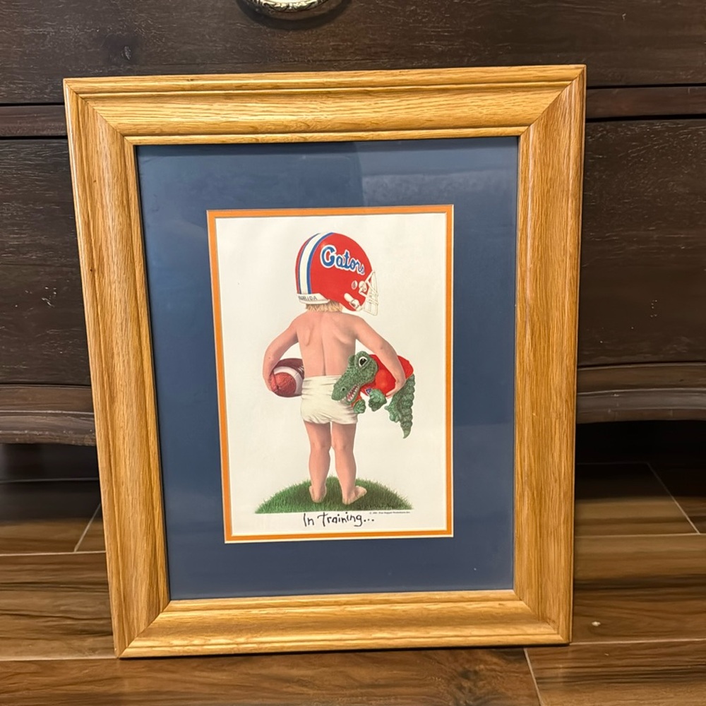 Florida Gators Framed Print